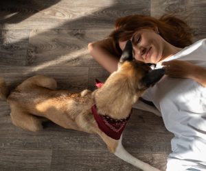 Frau spielt mit Hund auf hellem Vinyl- oder Holzboden