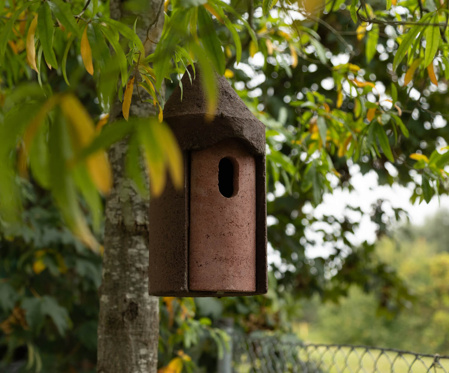 Wand voller verschiedener Nistkästen in der Ausstellung