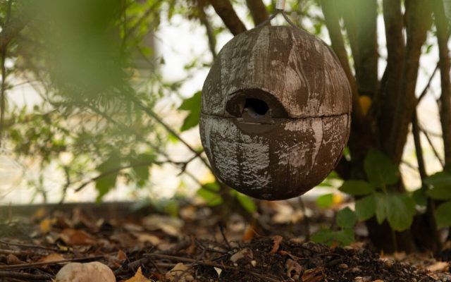 rundes nistkastenmodell im gebüsch für vogelnistplätze