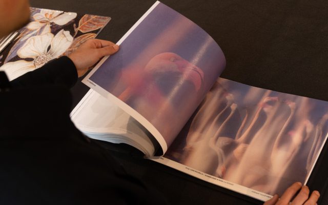 flamingo-motiv im tapetenmusterbuch für exklusive premiumtapeten